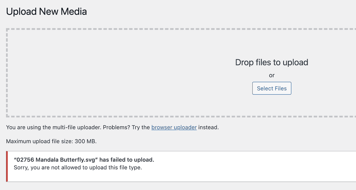 A WordPress error from uploading an incompatible file to a site.
