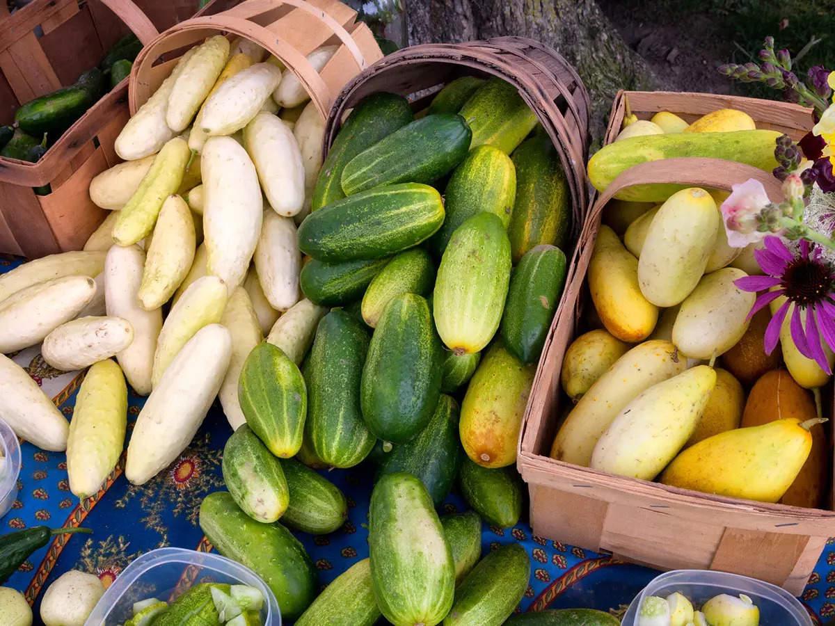 Various Types of Cucumber