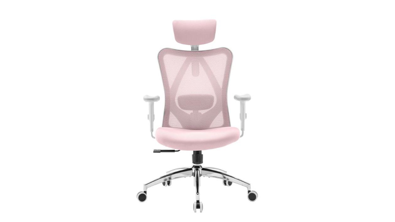 Duramont Ergonomic Adjustable Office Chair