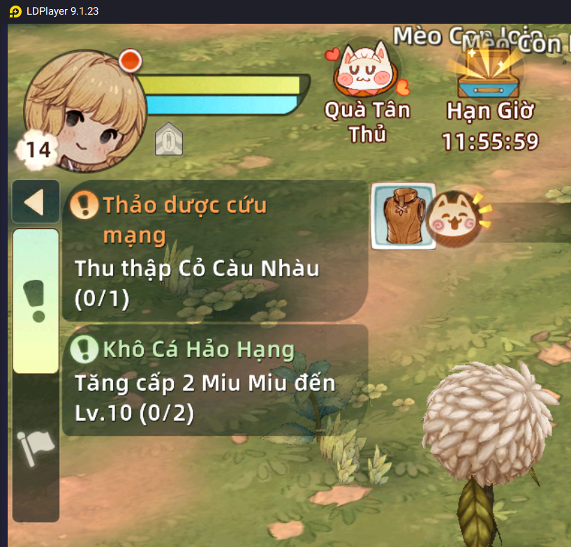 Tree of Savior: Neverland - Hướng dẫn tân thủ cách chơi chuẩn và nhanh nhất