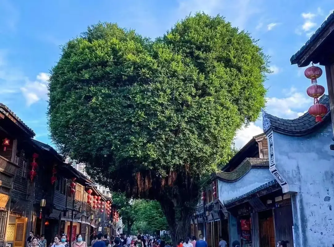 見どころ