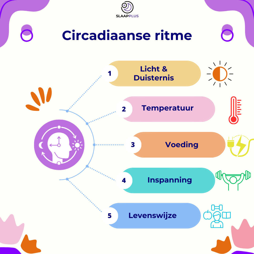 Factoren van invloed op Circadiaans ritme
