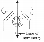 NCERT Solutions For Class 6 Maths Chapter 13 Symmetry 