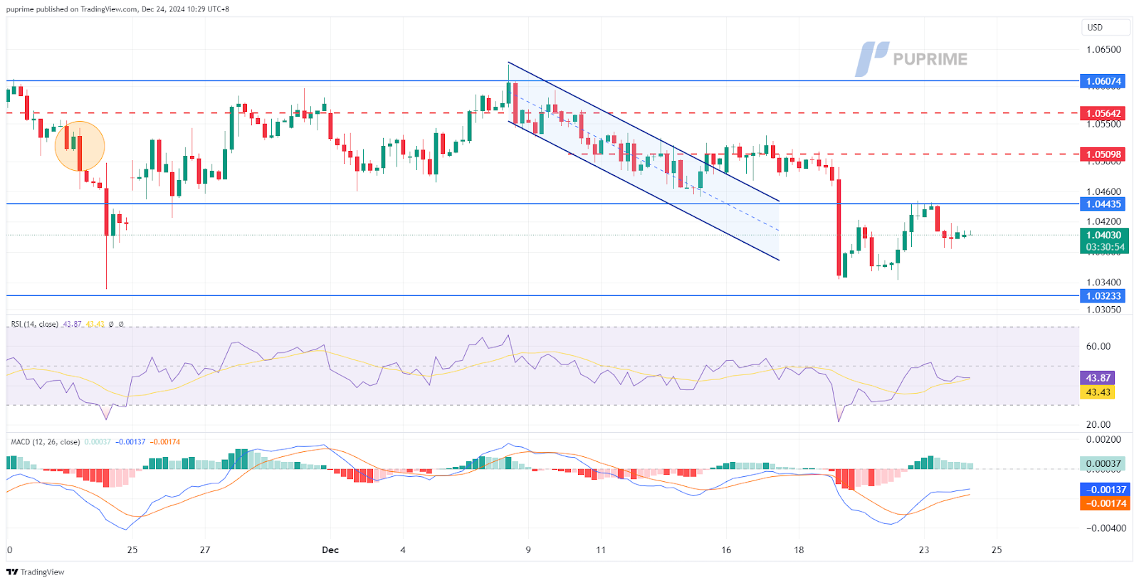 EUR/USD price chart 24 December 2024