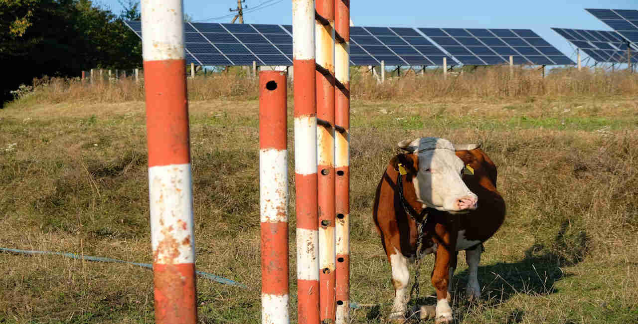 Navigating Agricultural Solar Incentives and Grants