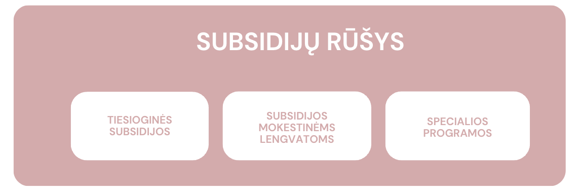 Subsidijų rūšys