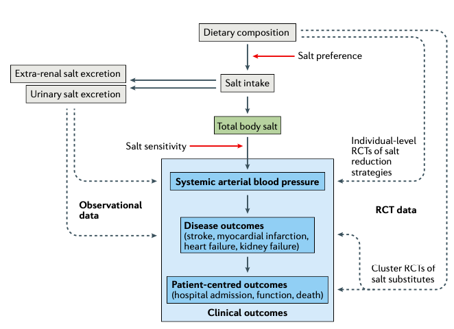 A diagram of a medical procedure

Description automatically generated