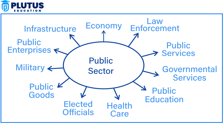 explain the role of government in public sector