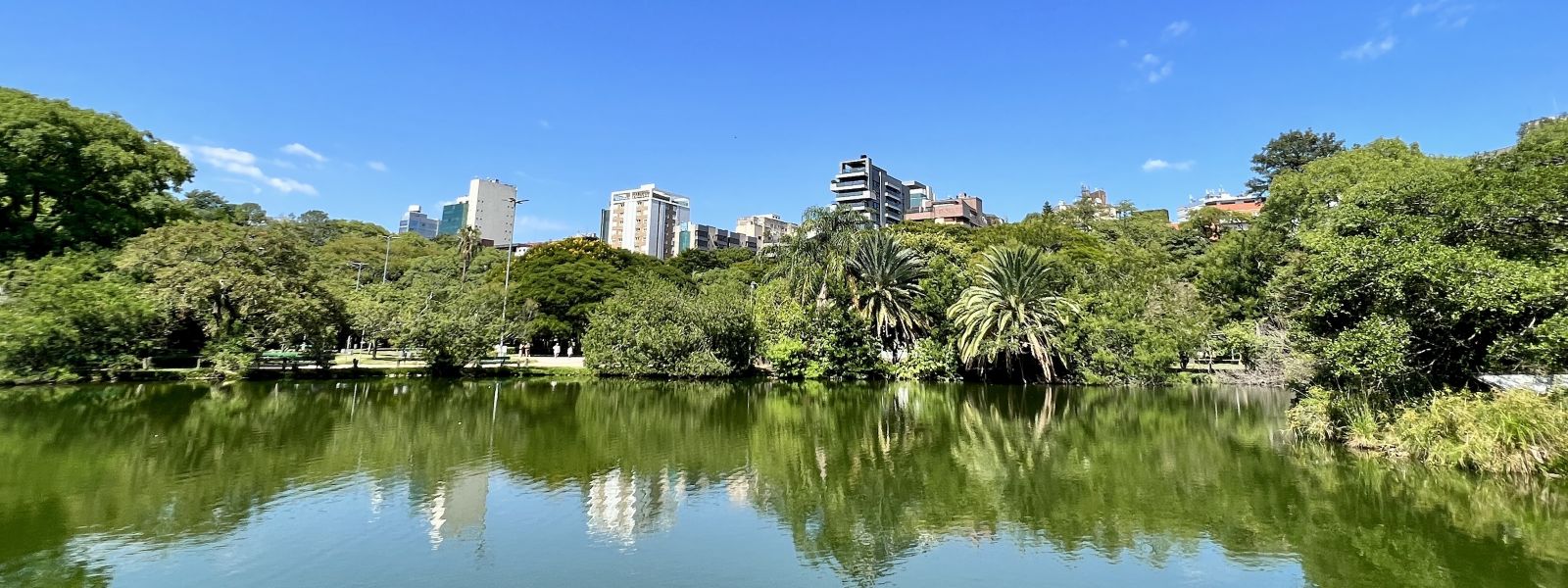 Bela Vista ou Petrópolis: Qual é Melhor para Morar? Guia Completo