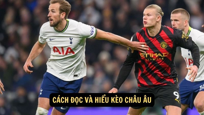 Cách đọc và hiểu kèo châu Âu