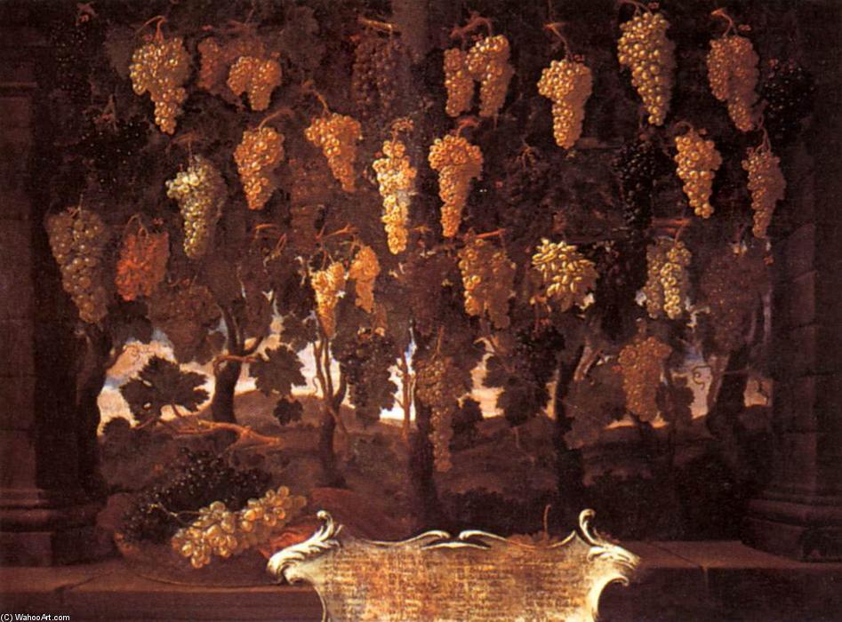  Art Reproductions | Grapes by Bartolomeo Bimbi (1648-1730, Italy) | WahooArt.com