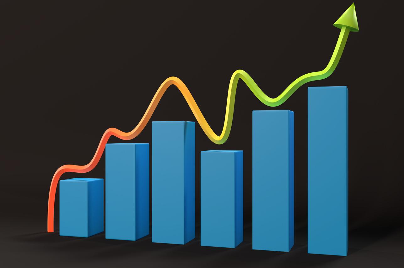 Use Shopify Analytics and Google Analytics to track conversion rates, customer acquisition costs, and average order value. Make data-driven decisions to scale your dropshipping business.