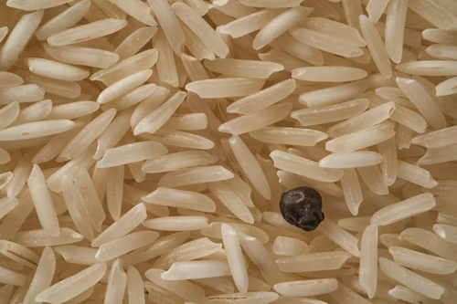 Brewers Rice