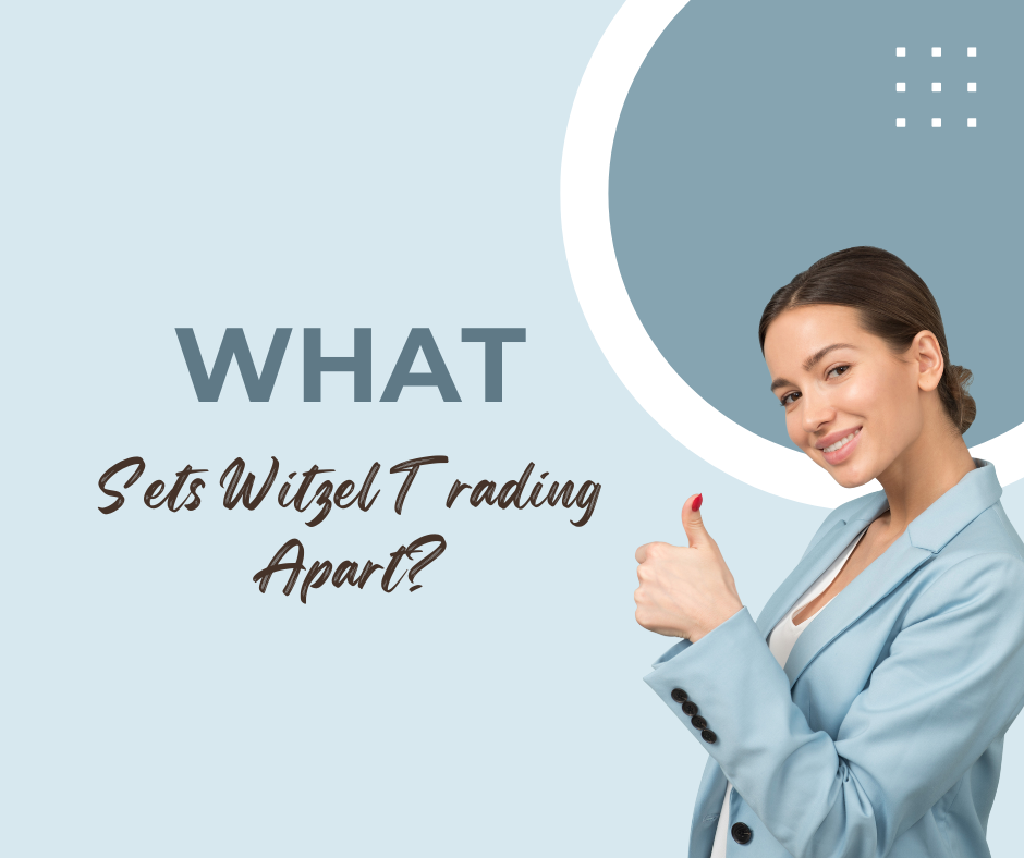 Andre Witzel Launches a Comprehensive Platform for Traders