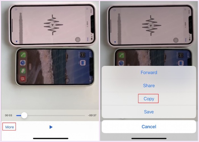 copy the video link