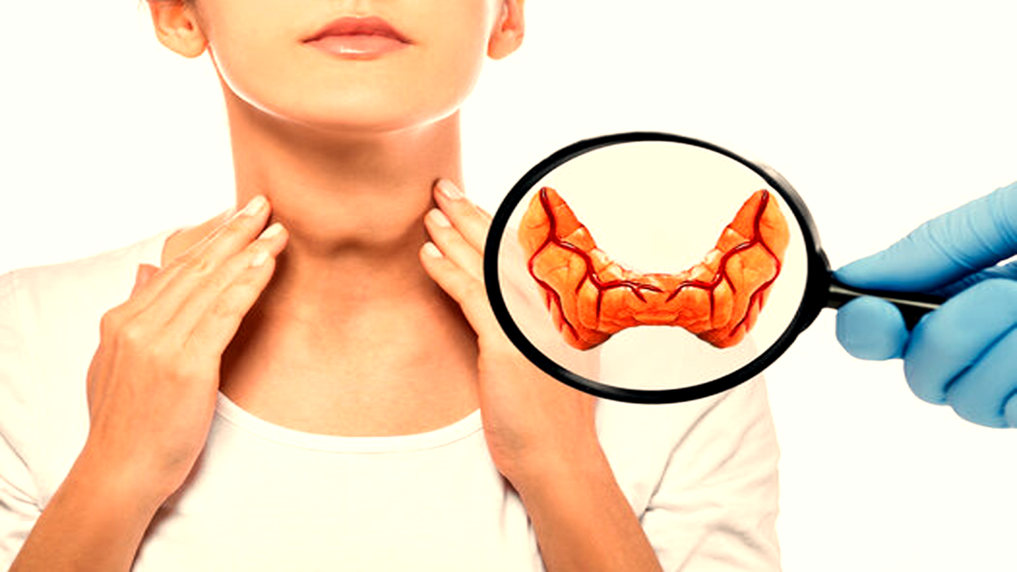 armour thyroid vs levothyroxine