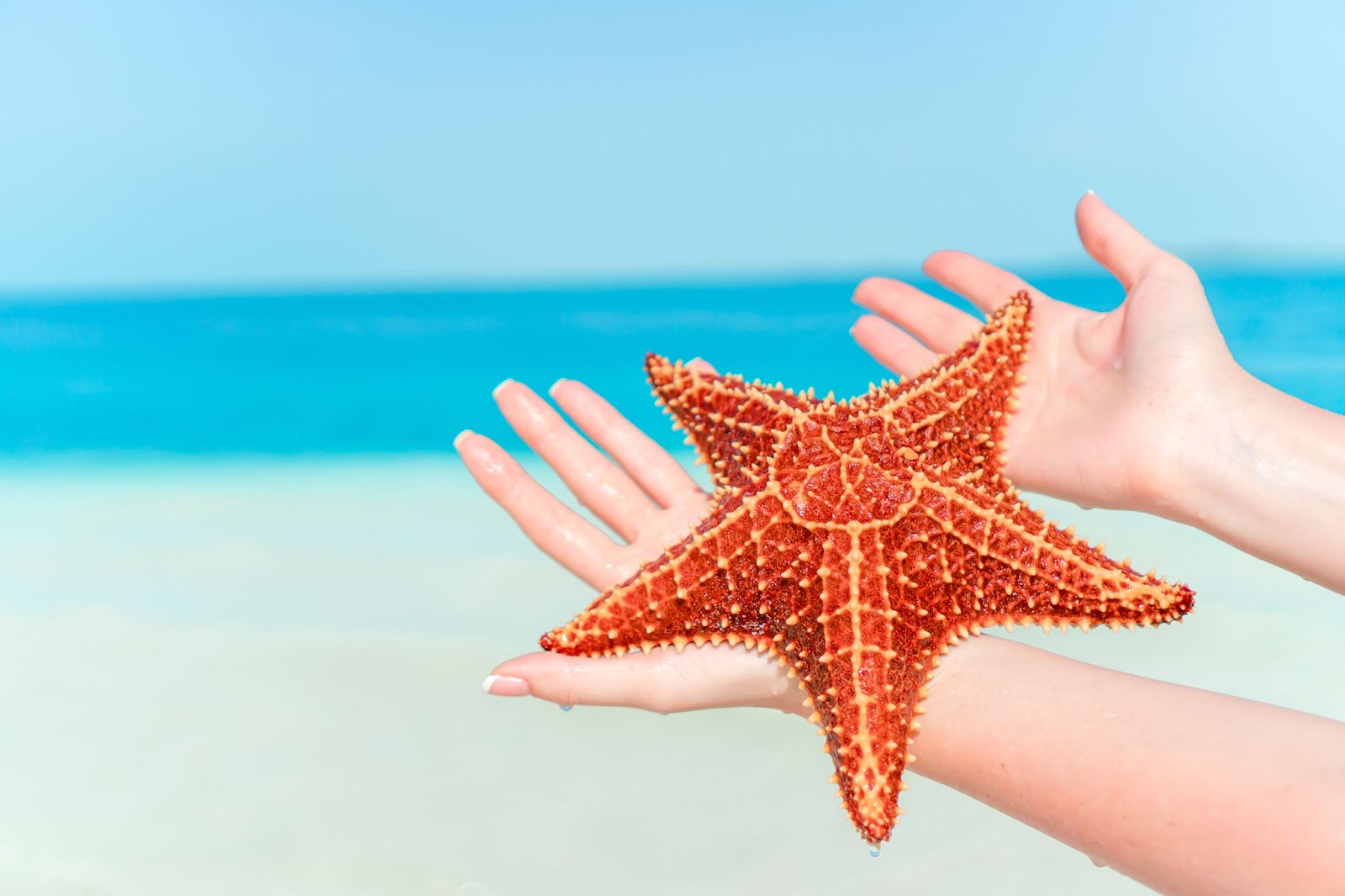 Starfish Point Grand Cayman Island