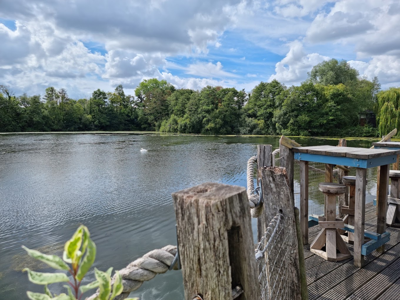 The Heron on the Lake, Fleet view