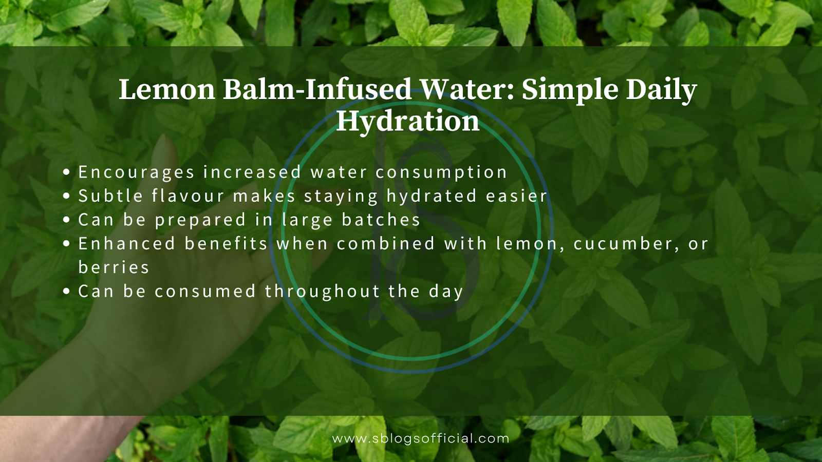 Explaining How to Take Lemon Balm for Weight Loss, by defining lemon balm infused water for simple daily hydration.