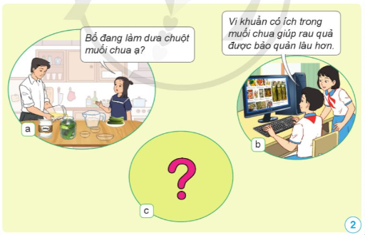 BÀI 13. VI KHUẨN CÓ ÍCH TRONG CHẾ BIẾN THỰC PHẨM