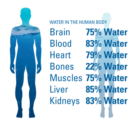 Allah has created every [living] creature from water..." (Holy Qur'an  24:45) : r/islam