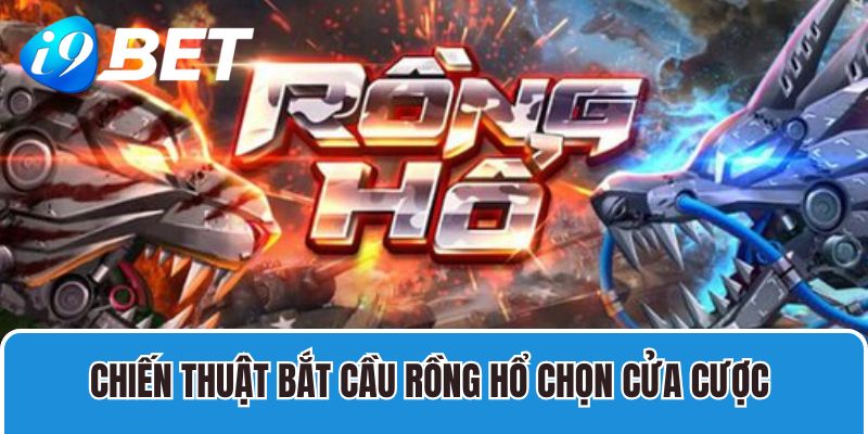 Chiến thuật bắt cầu Rồng Hổ chọn cửa cược 