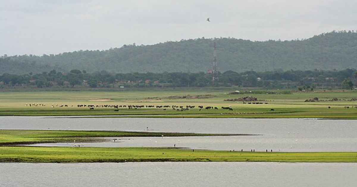 Pocharam Lake
