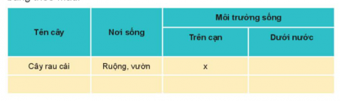 BÀI 16. THỰC VẬT SỐNG Ở ĐÂUMỞ ĐẦUCâu hỏi: Kể tên và nơi sống của các cây mà em biết.Đáp án chuẩn:Một số cây mà em biết: hoa hồng sống trên cạn, hoa sen sống trong đầm, cây nhãn sống trên cạn,…KHÁM PHÁCâu 1: Quan sát, nói tên và nơi sống của cây trong mỗi hình dưới đây.Đáp án chuẩn:Hoa súng sống ở trong ao, hồ.Rau muống nước sống ở ruộng.Cây xương rồng sống ở sa mạc.Cây đước sống ở ven biển chống ngập mặn.Cây chuối sống ở trên vườn.Cây dừa sống ở trên vườn.Cây rêu sống ở nơi có độ ẩm cao như mái nhà.Câu 2: Các cây đó sống ở môi trường trên cạn hay dưới nước?Đáp án chuẩn:Các cây đó có cây sống ở môi trường trên cạn là: cây xương rồng, cây chuối, cây dừa, cây rêu.Câu 3: Phân loại các cây mà em biết dựa vào nơi sống, môi trường sống và hoàn thành bảng theo mẫu:Đáp án chuẩn:THỰC HÀNHCâu 1: Nơi em sống có những cây gì? Chúng sống ở môi trường nào?Đáp án chuẩn:Nơi em đang sống có cây sưa, cây hoa sữa, cây phượng, cây si. Chúng đều sống ở môi trường trên cạn.Câu 2: Hãy hỏi bạn về tên và nơi sống của cây trong mỗi thẻ hình dưới đây.Đáp án chuẩn:- Cây đu đủ sống ở trong vườn.- Cây hoa súng sống ở ao, hồ.- Cây lúa sống ở ruộng.- Cây bèo tây sống ở ao, hồ.- Cây xấu hổ sống ở các ven đường.VẬN DỤNG