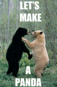 Lets_make_a_panda