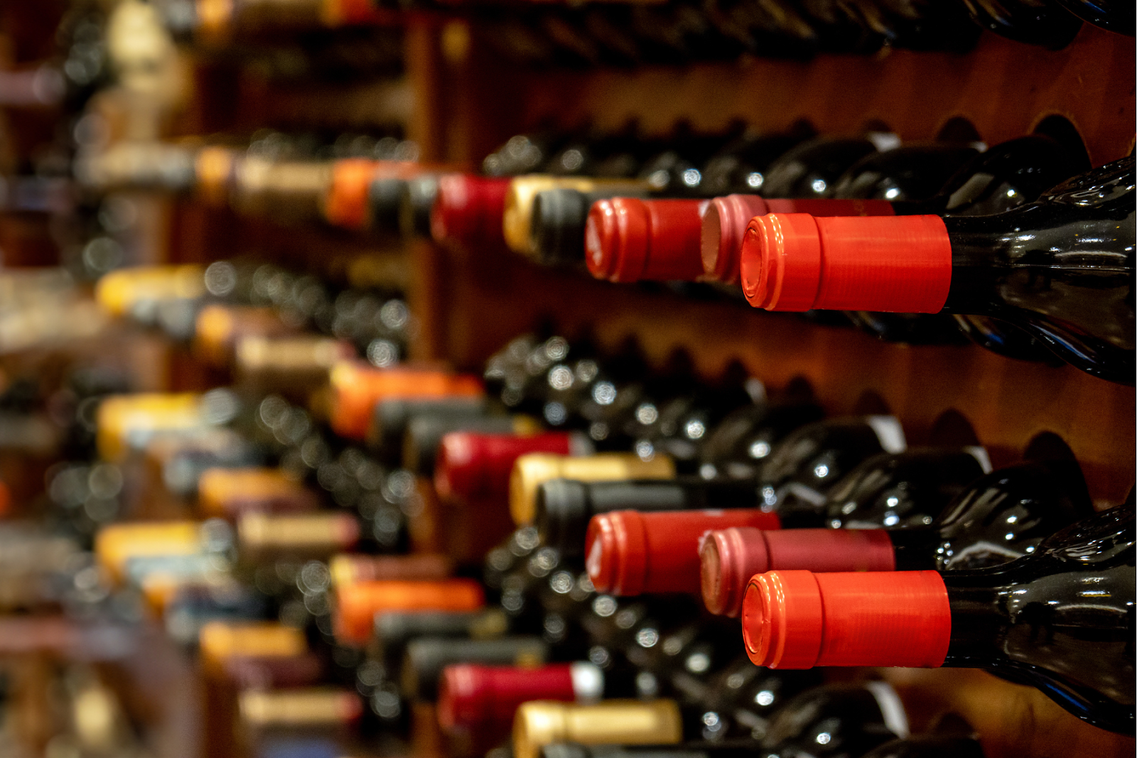 Wine bottles on display rack 