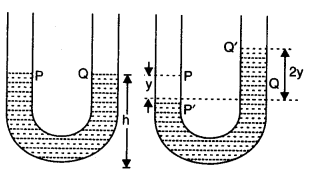 NCERT Solutions for Class 11 Physics Chapter 14 Oscillations Q19