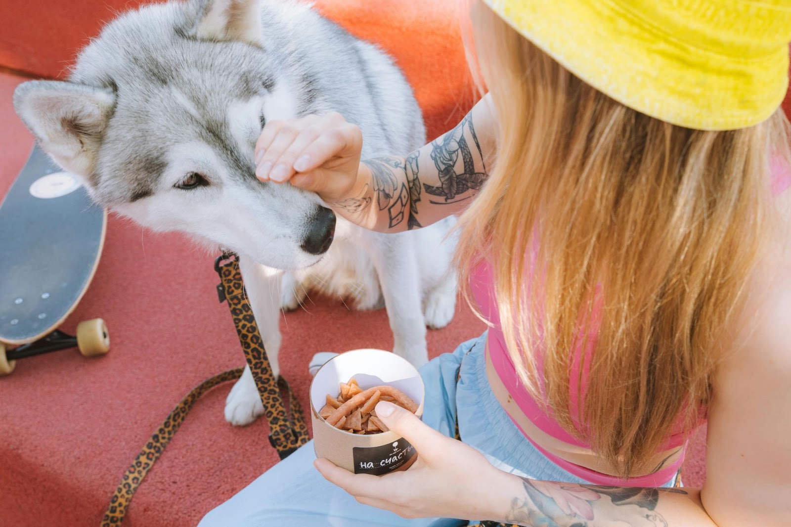 Woman Feeding a Dog