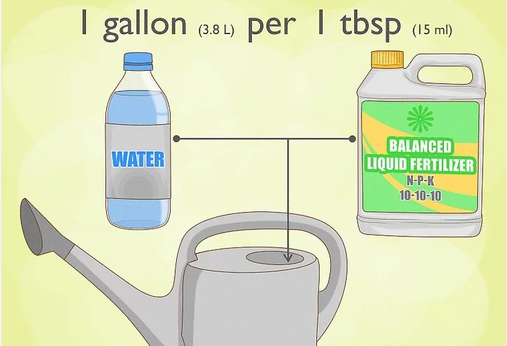 Making of Liquid Fertilizer