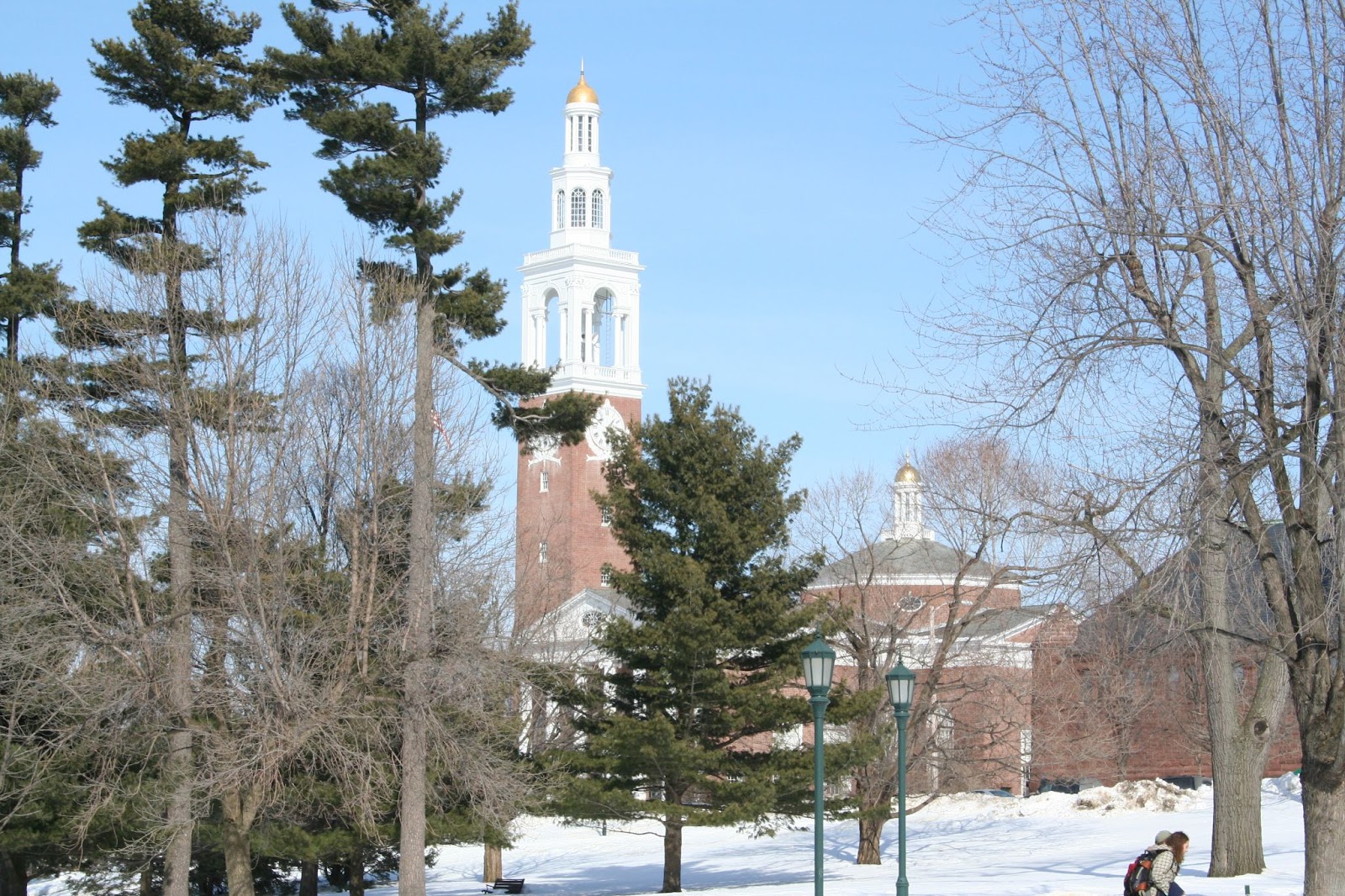 The University of Vermont | rachaelvoorhees