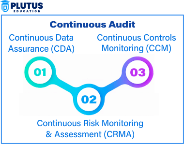 difference between continuous audit and final audit
