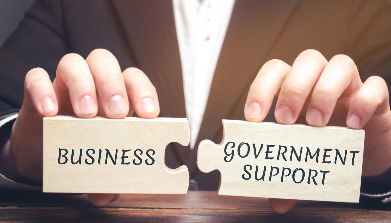 Government Initiatives and Support