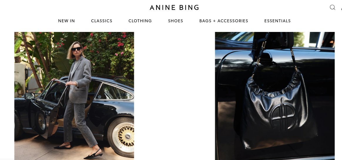 anine bing