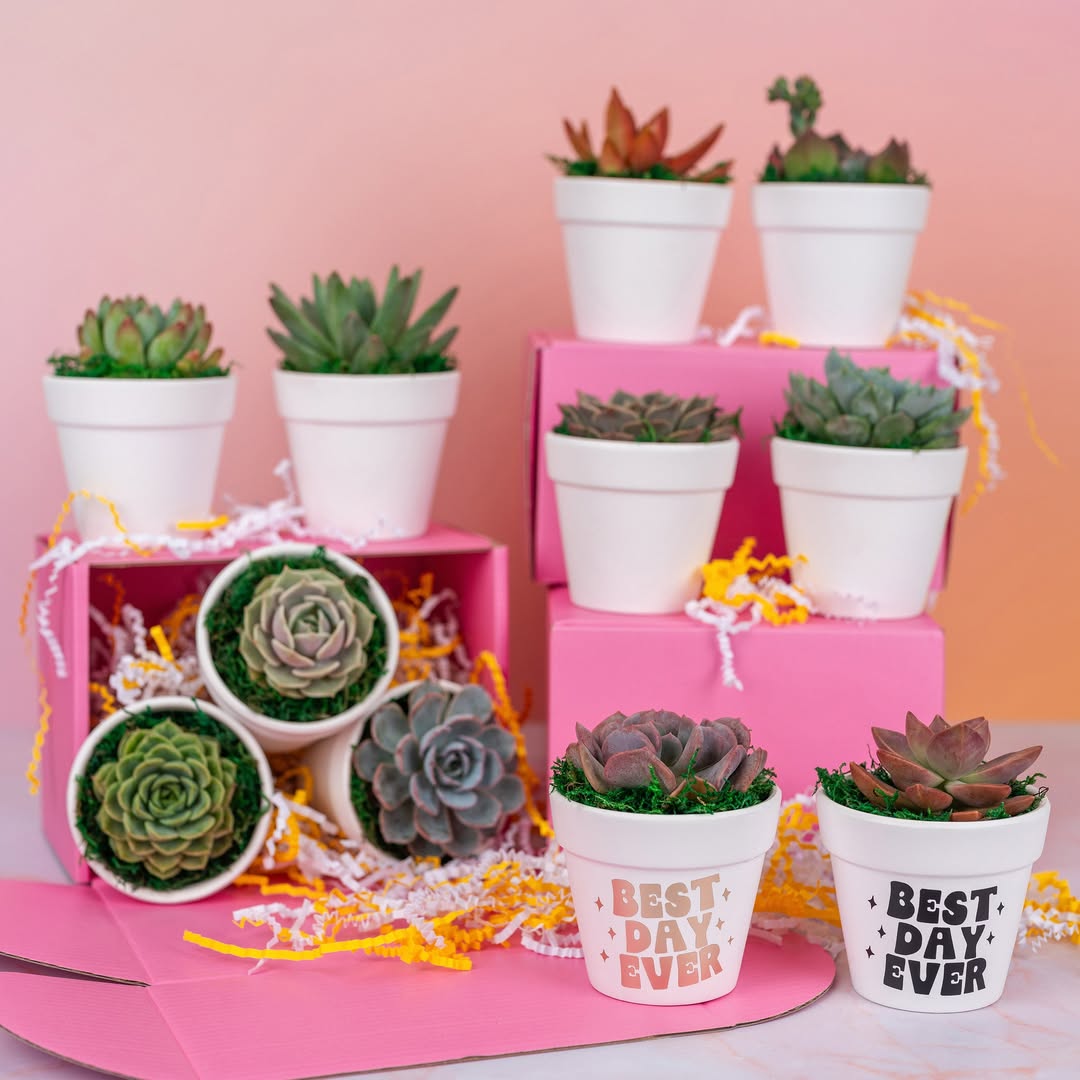 Garden Theme Bridal Shower Ideas