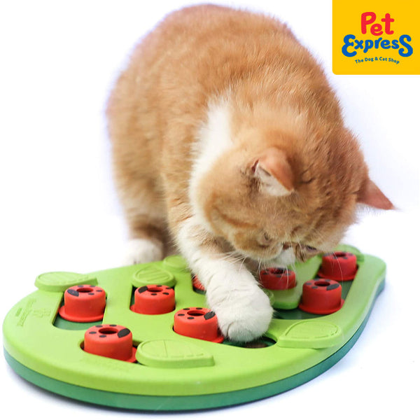 Nina Ottosson Stages Buggin Out Puzzle and Play Level 2 Cat Toy