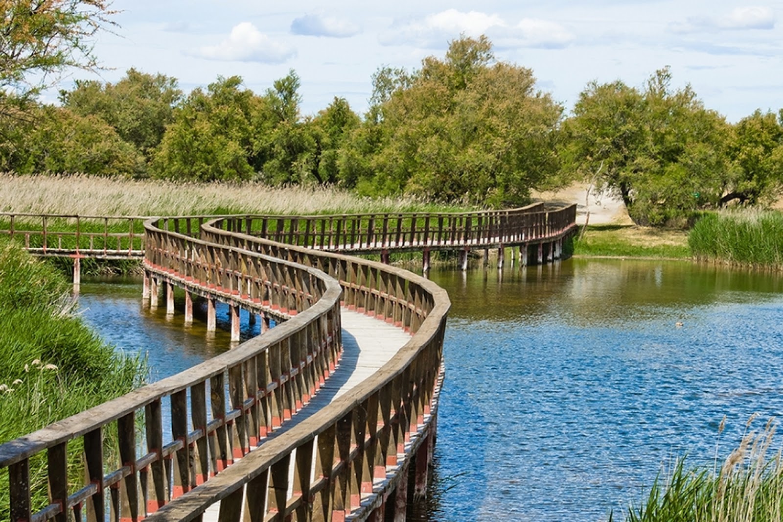 Parque Nacional de las Tablas de Daimiel almagro