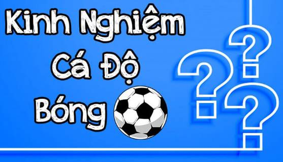 Cách Chơi Cá Cược Bóng Đá Luôn Thắng Từ Chuyên Gia Tại Sin88-2