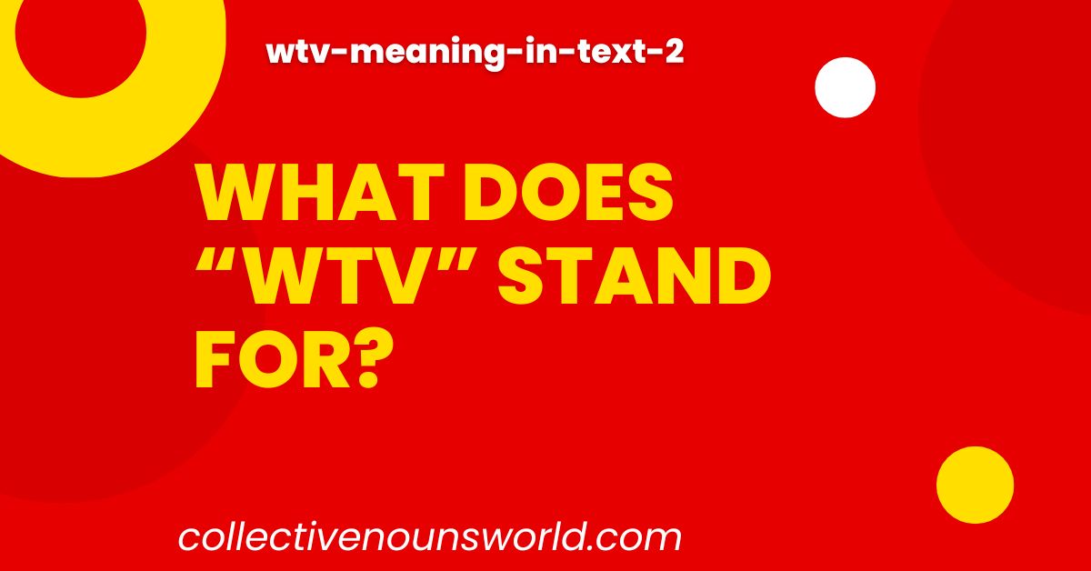 WTV meaning