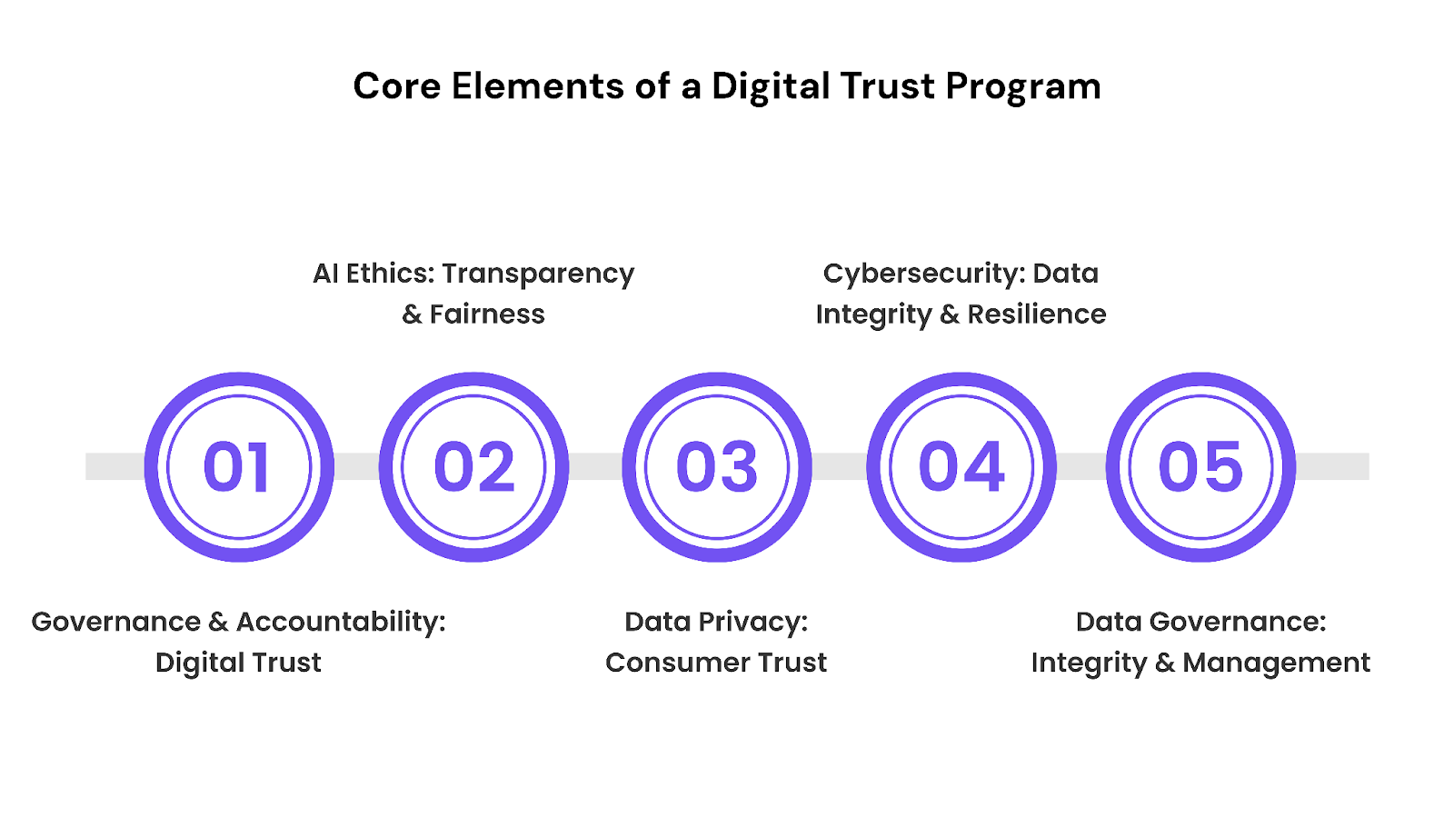 Core Elements of a Digital Trust Program