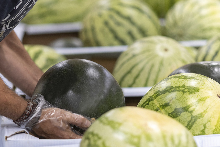 sandia entera mercadona