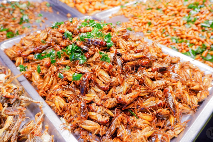  Fried insects are a common street snack