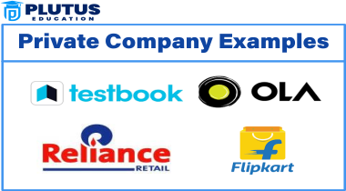 Private company examples