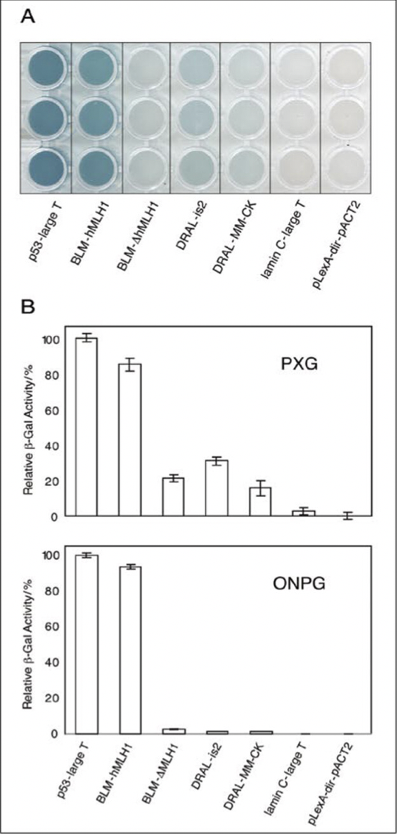 Measurement of protein interactions. Image description available.