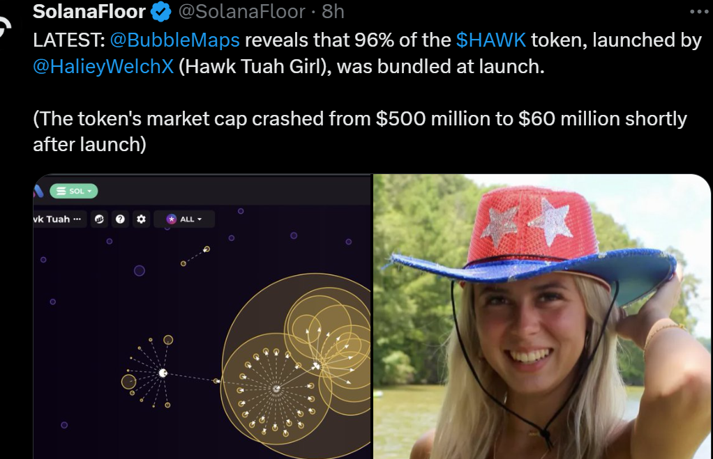 BubbleMaps graphic of Hailey Welch's $HAWK memecoin. Source: X