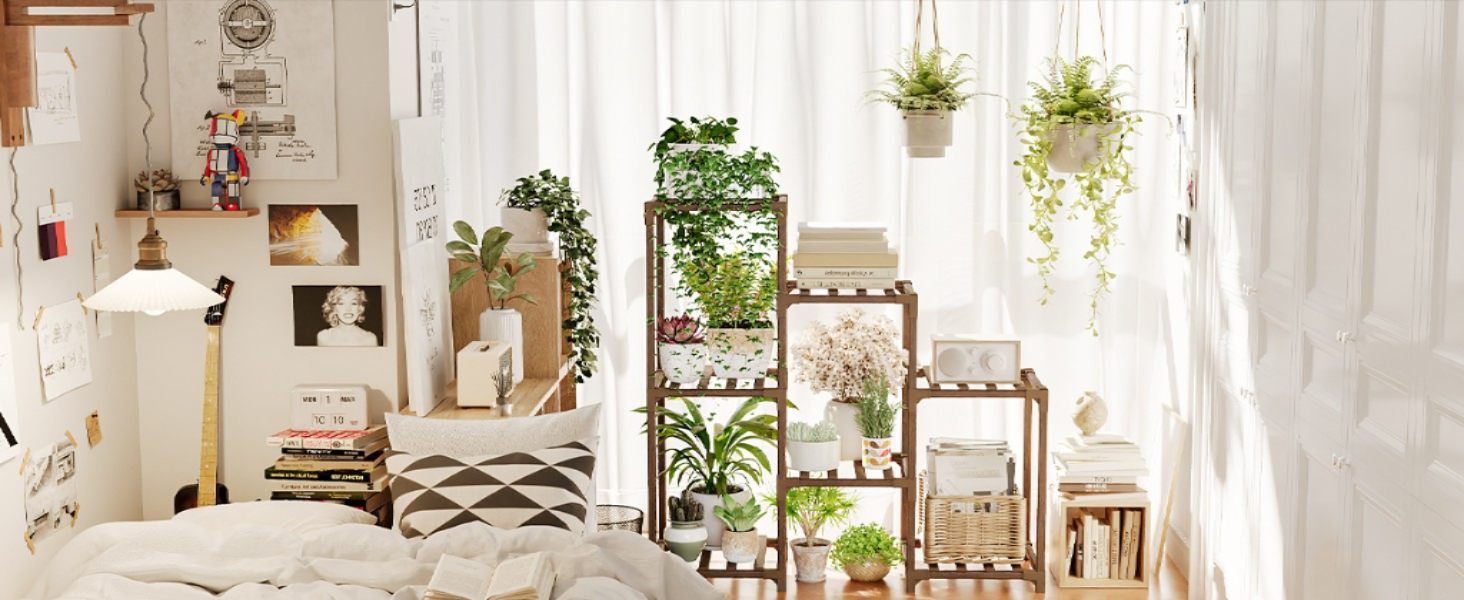 Indoor Plants for Arizona's Desert Climate
