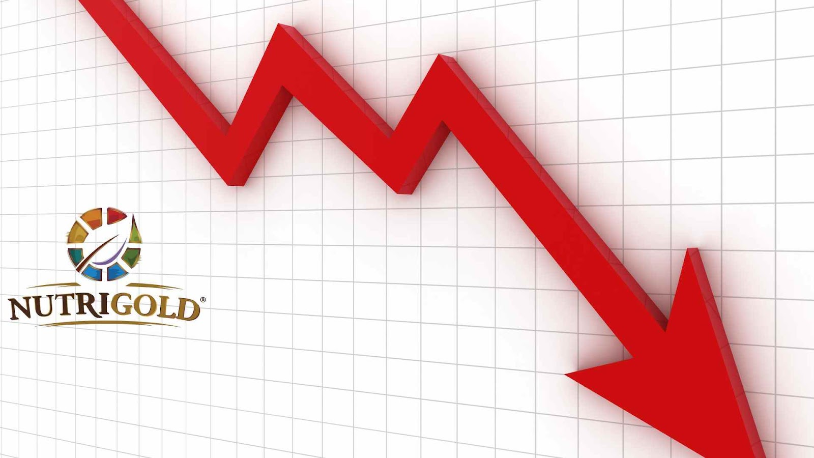 Is the Lawsuit main reason behind NutriGold out of Business Today?